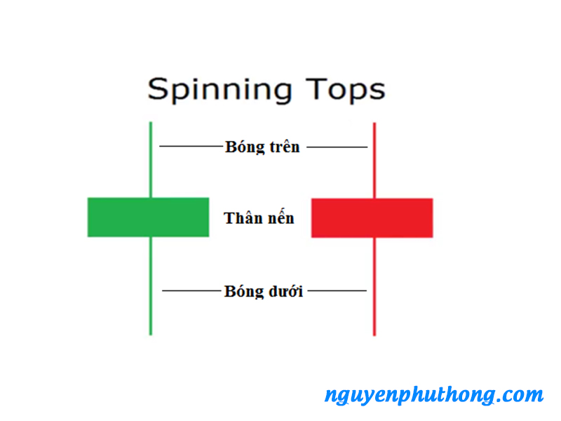 Spinning top ( bông vụ)