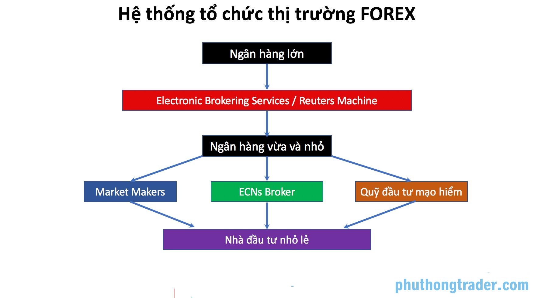 Sơ đồ hệ thống cấp bậc trong thị trường Forex