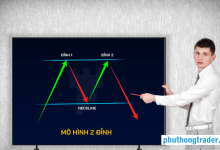 Mô hình hai đỉnh là gì