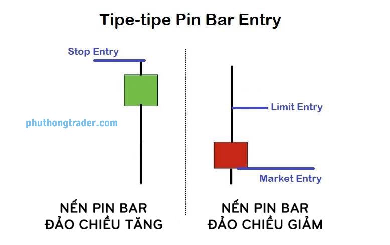 Ví dụ minh họa về mô hình nến Pin Bar đơn lẻ
